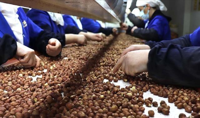 Ticaret borsalarında sezonun ilk üç ayında 138 bin tonu aşkın fındık işlem gördü